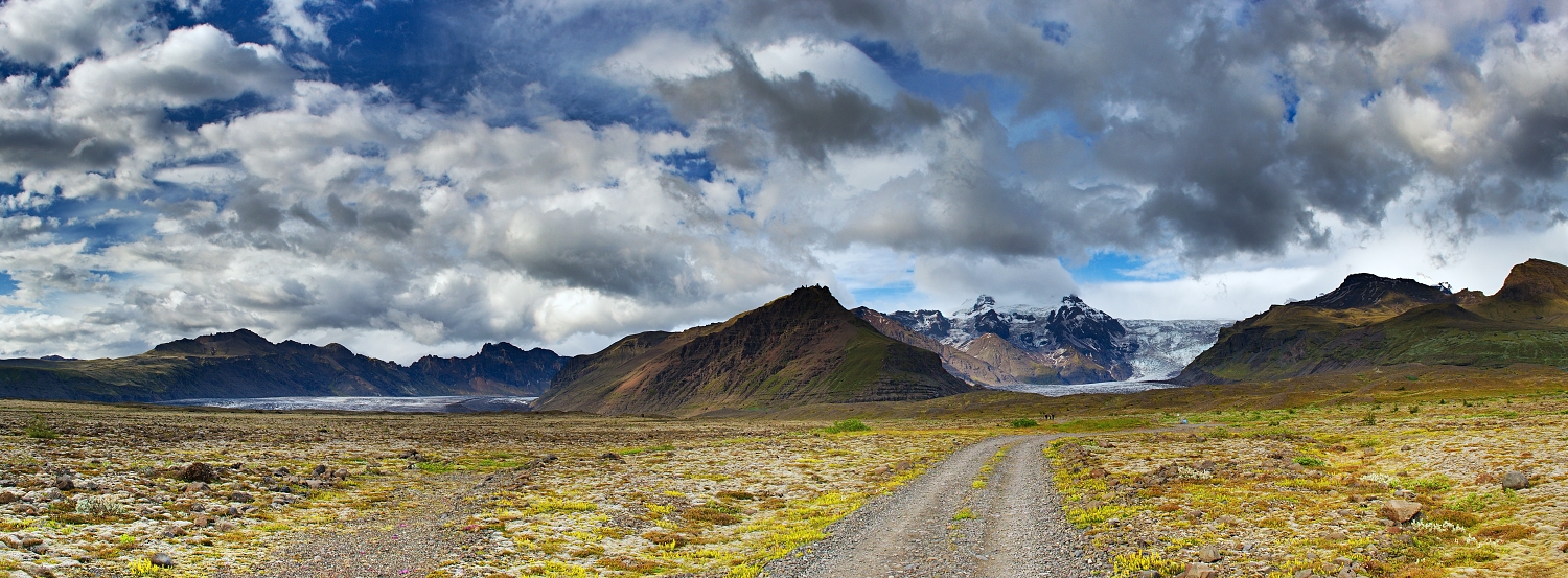 061 - Skaftafellsjokul, Svínafellsjokul
