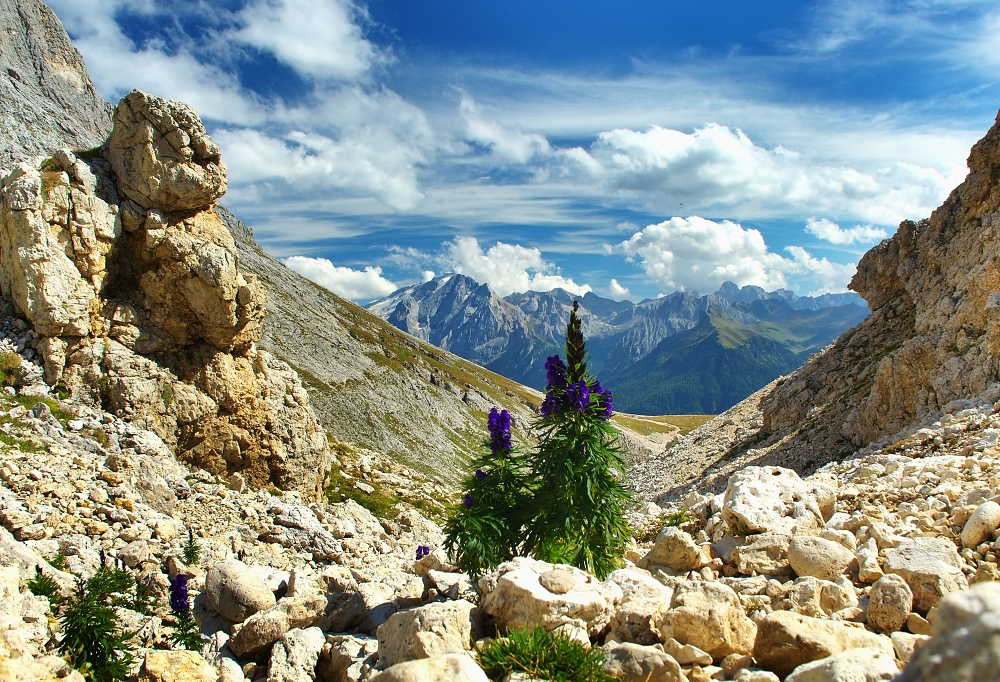 019 - Marmolada
