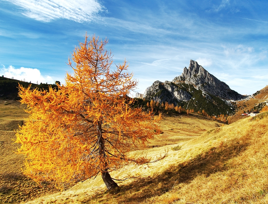 090- Sasso di Stria