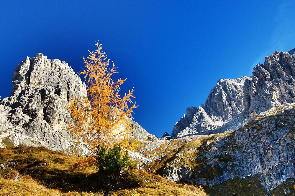119 - vlevo C.Ciadin die Toci 2473m