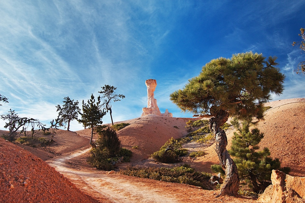 Bryce Canyon (3)