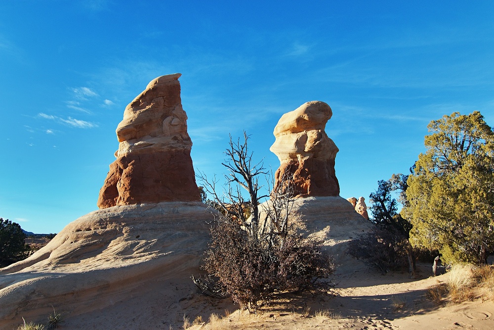 Devils Garden (3)