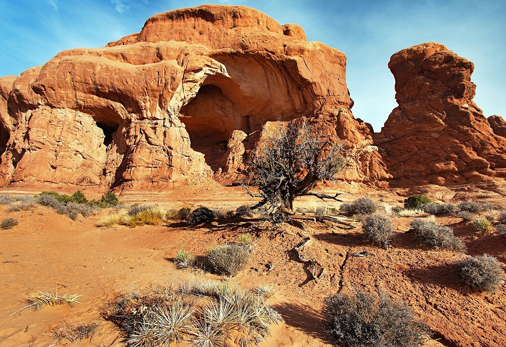 NP Arches (1)