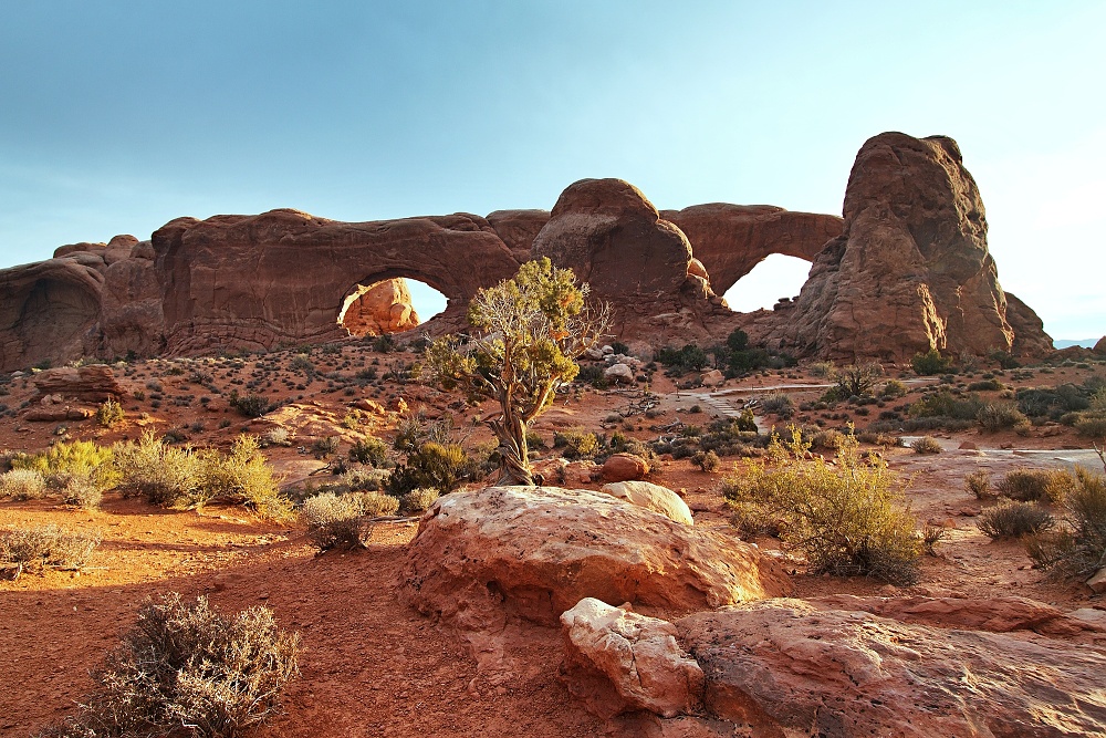 NP Arches (2)