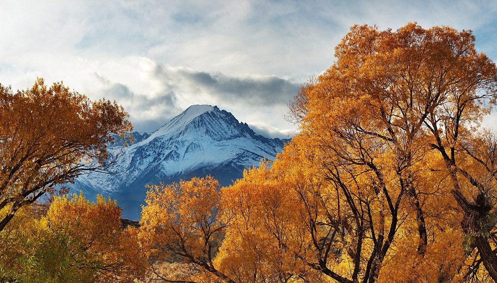 Siera Nevada