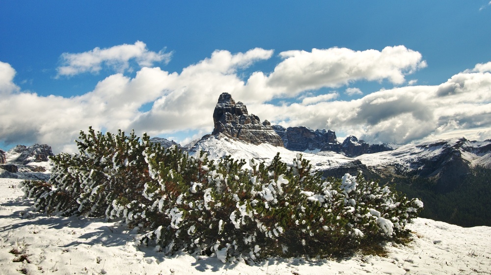 IMG_5011_Tre Cime