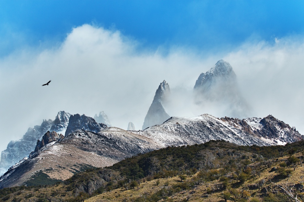 IMG_0515 - Fitz Roy (3405)